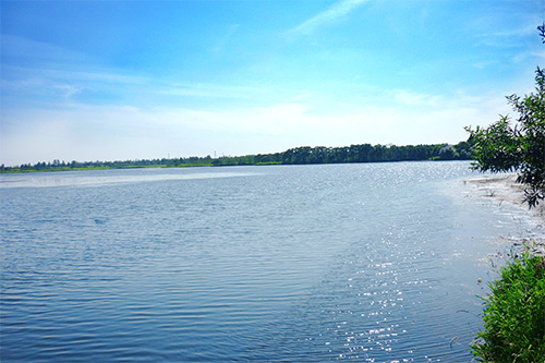 ウトナイ湖についての情報
